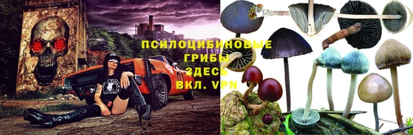 героин Алзамай